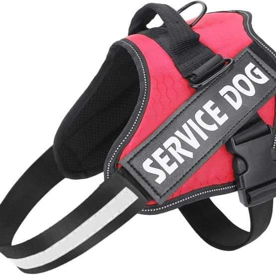 Service Dog Harness